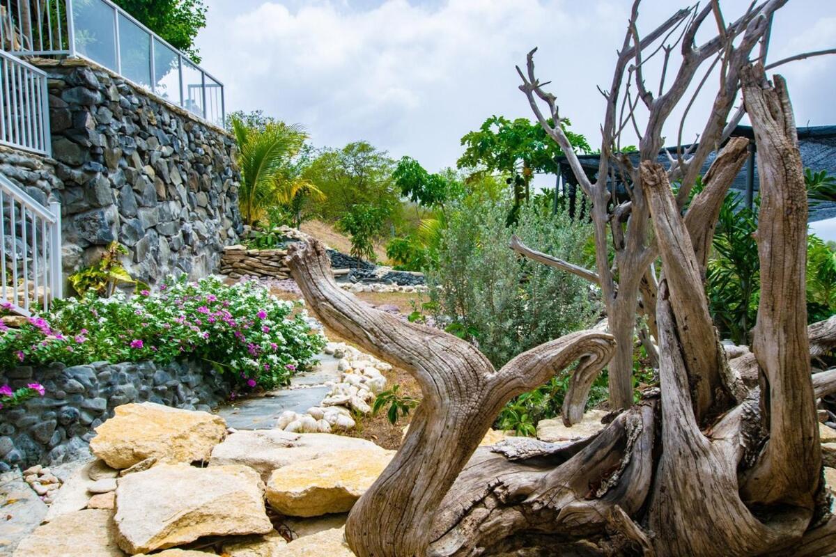 Onyx-- A Gem At Dee'S Pearl Villa Carriacou Exterior foto