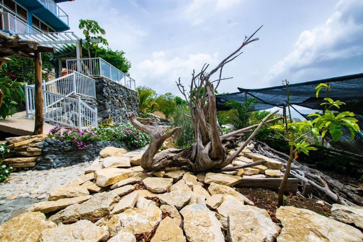 Onyx-- A Gem At Dee'S Pearl Villa Carriacou Exterior foto